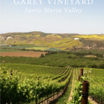 garey-vineyard2
