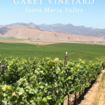 garey-vineyard3